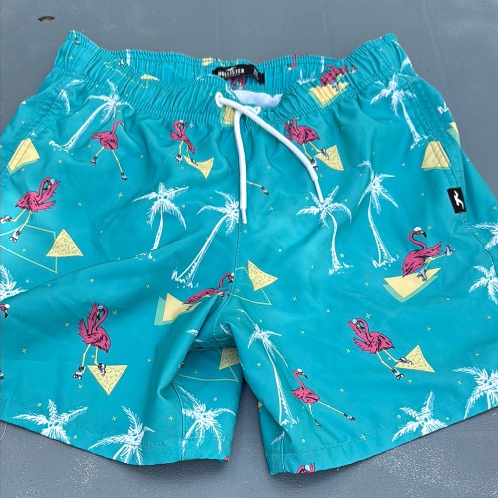 Hollister Aqua Shorts with Pink Flamingos